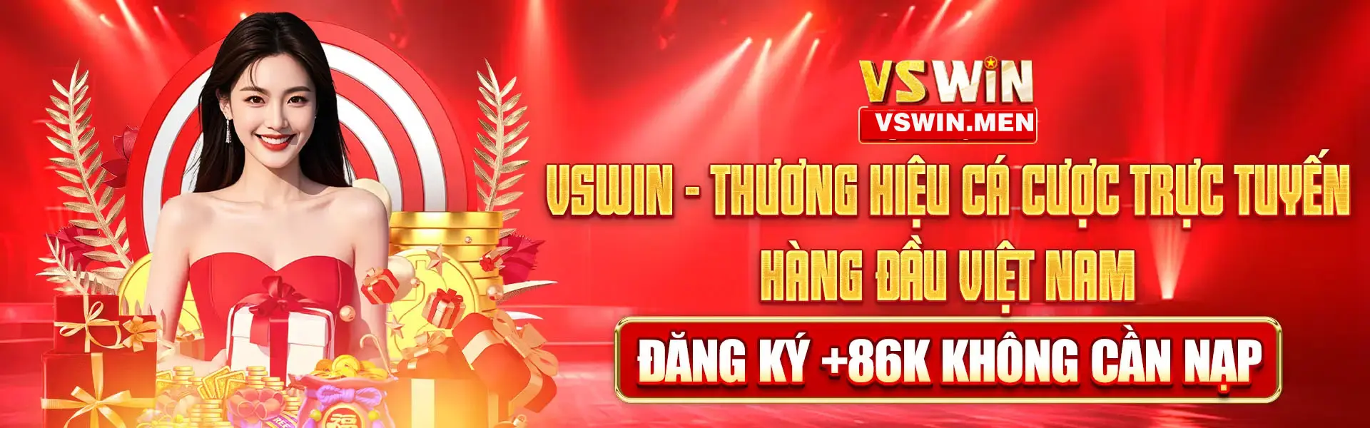 VSWIN