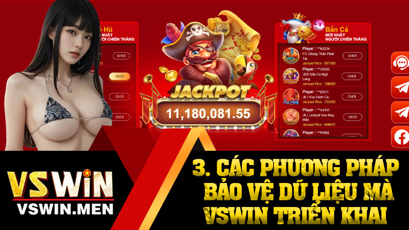 3. Các phương pháp bảo vệ dữ liệu mà VSWIN triển khai