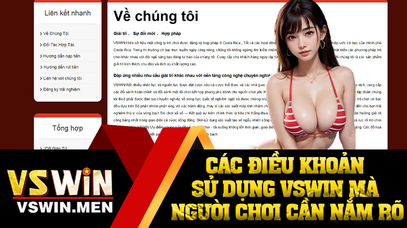 Các điều khoản sử dụng VSWIN mà người chơi cần nắm rõ
