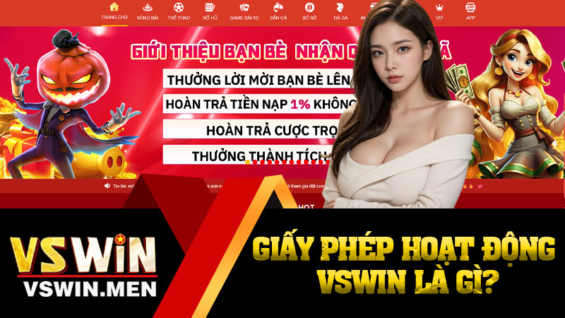 Giấy phép hoạt động VSWIN là gì?