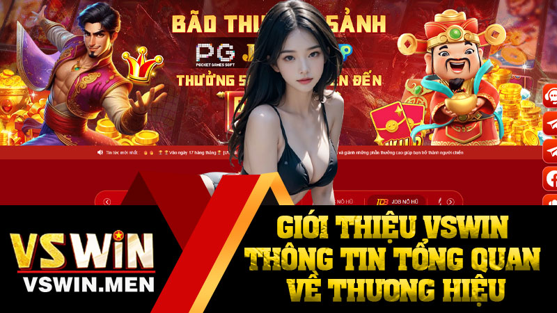 Giới thiệu VSWIN thông tin tổng quan về thương hiệu