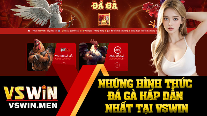 Những Hình Thức Đá Gà Hấp Dẫn Nhất Tại VSWIN
